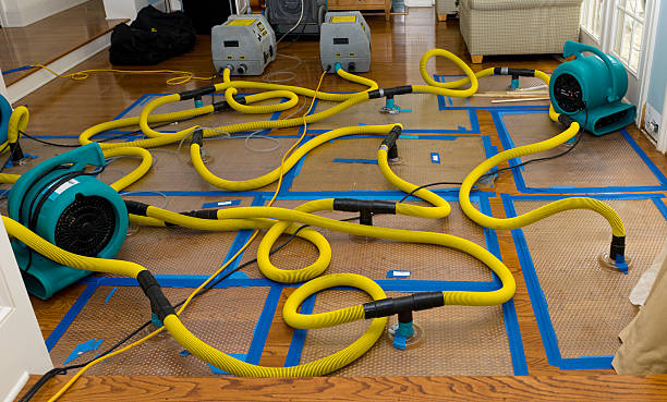 Professional Crawl Space Water Removal technician working in Cornelia, GA